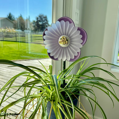 Purple/Frost Mini (#1748)