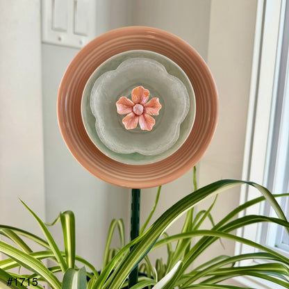 Peach/Green Mini (#1715)