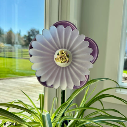 Purple/Frost Mini (#1748)