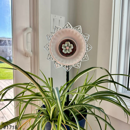 White/Pink/Green Mini (#1718)