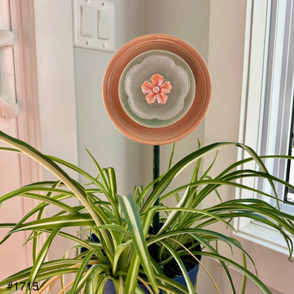 Peach/Green Mini (#1715)