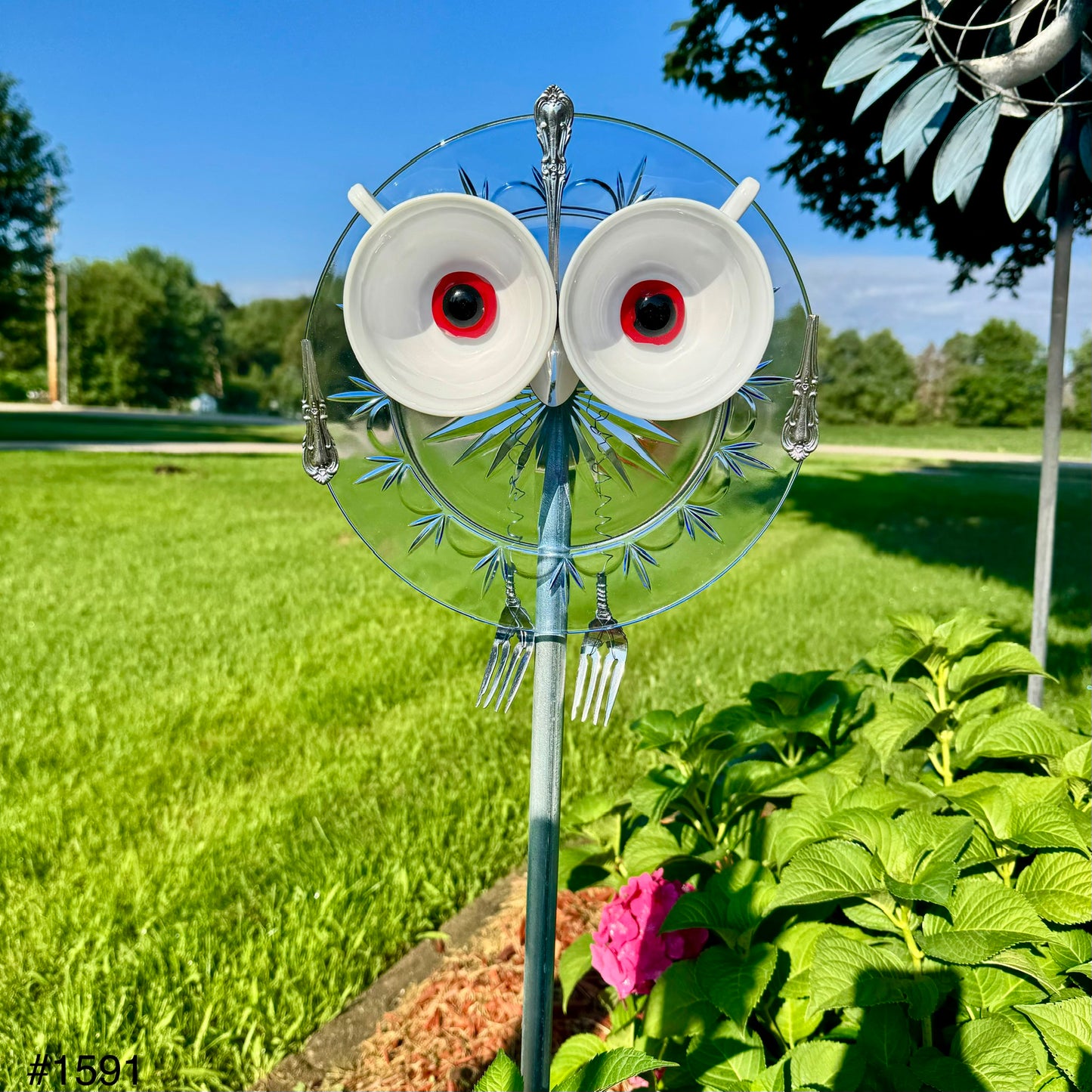 Americana Owl