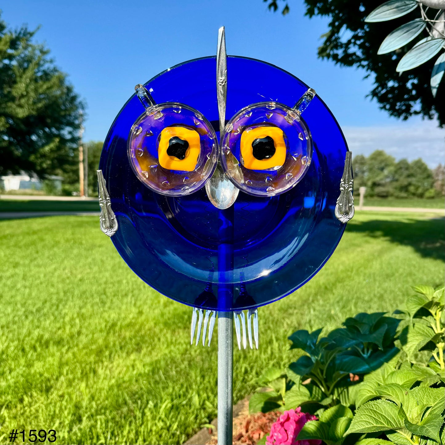 Blue Moon Owl
