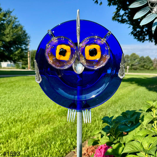 Blue Moon Owl