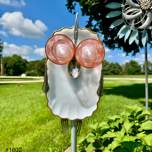 Pearl Pink Owl