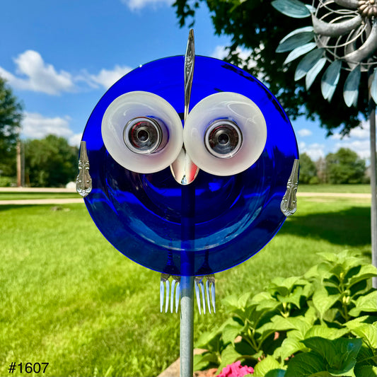 American Dream Owl