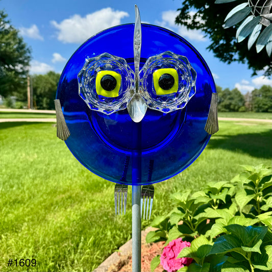 Blue Kiwi Owl