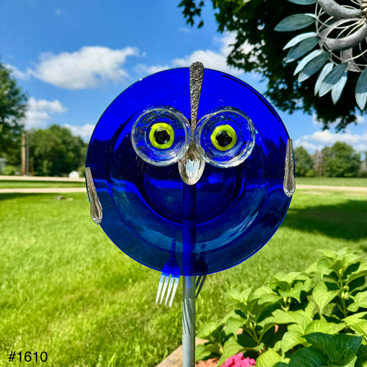 Blueberry Lime Owl