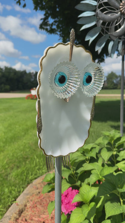 White Magnolia Owl