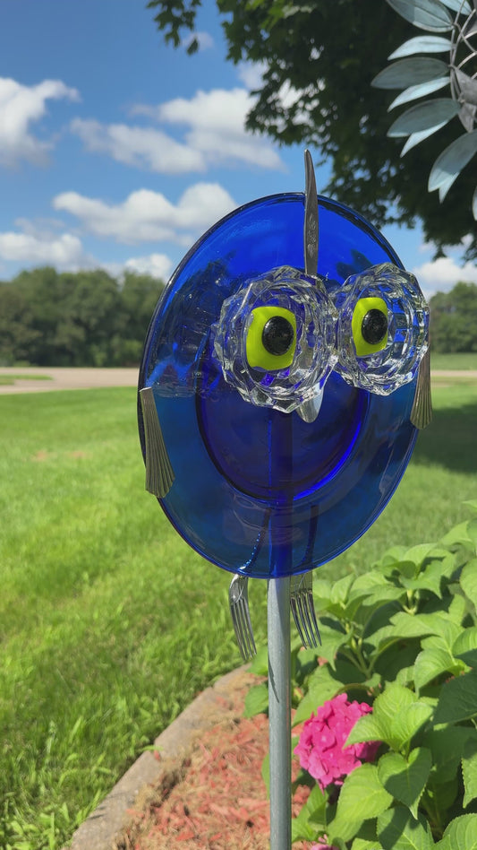 Blue Kiwi Owl