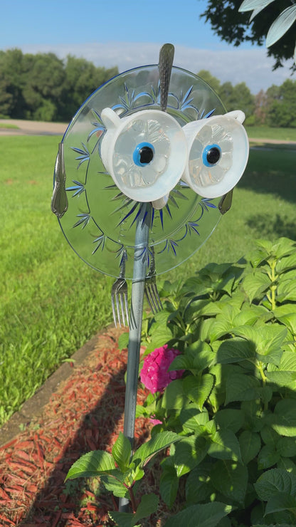 Fairy Blue Owl
