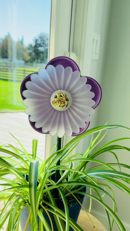 Purple/Frost Mini (#1748)