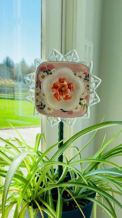 Clear/Pink/Orange Mini (#1745)