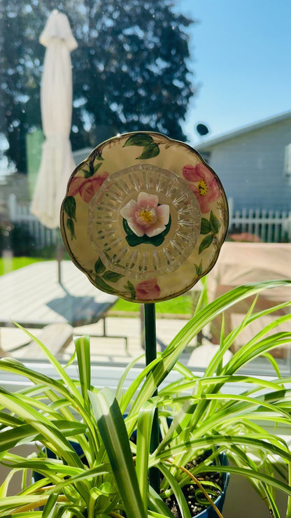 Dessert Rose Mini (#1755)