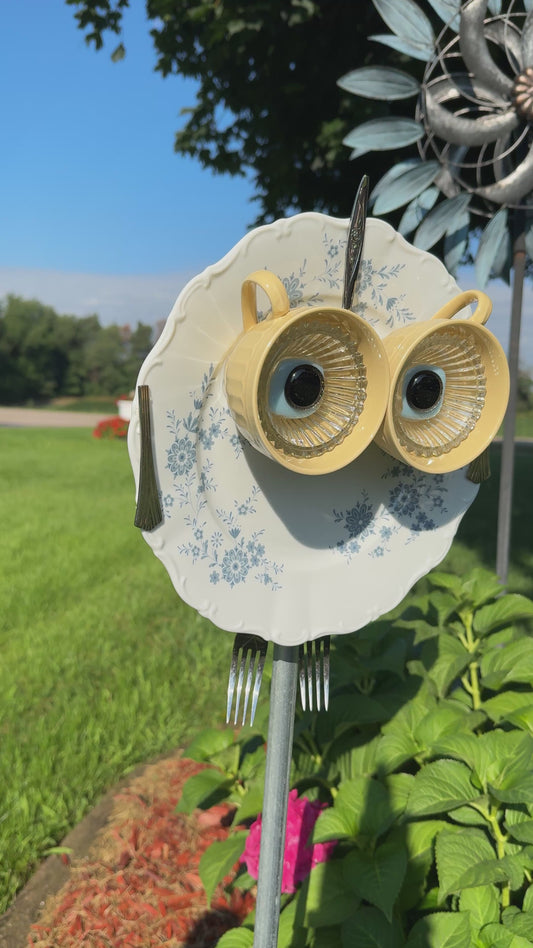 Blue Buttercup Owl